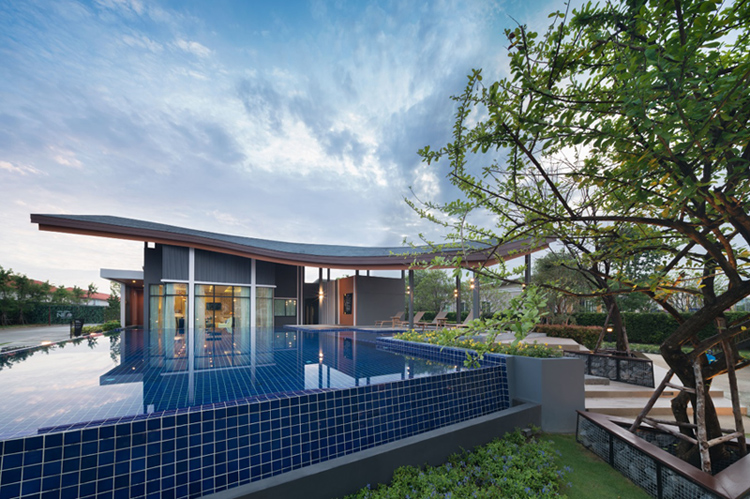 รูปภาพ โกลเด้น นีโอ ชัยพฤกษ์-วงแหวน (Golden Neo)