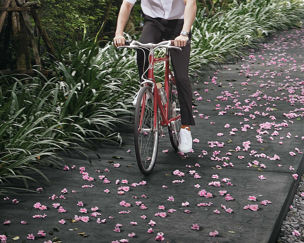 รูปภาพ ดีคอนโด แคมปัส กำแพงแสน (dcondo Campus Kampangsaen)