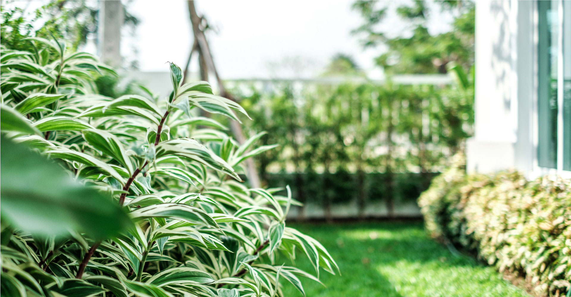 รูปภาพ ปัญจทรัพย์ พาร์ค ปิ่นเกล้า (Panchasarp Park Pinklao)