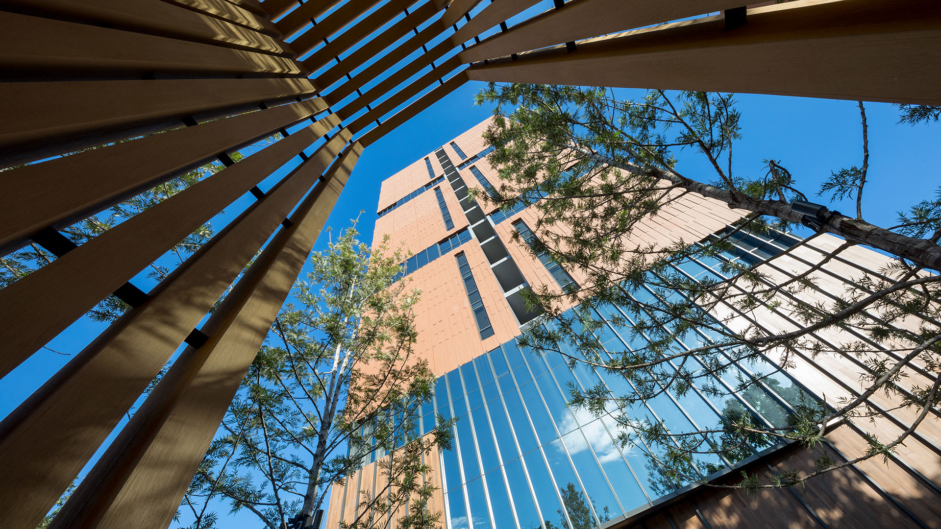 รูปภาพ เดอะ รูม สุขุมวิท 38 (The Room Sukhumvit 38)