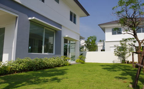 รูปภาพ ชัยพฤกษ์ บางใหญ่ (Chaiyapruk Bangyai)