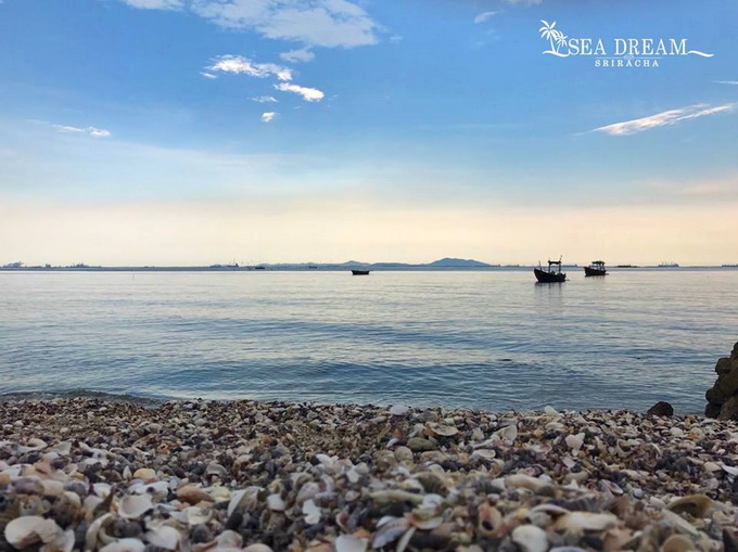 รูปภาพ ซีดรีม@ศรีราชา (Sea Dream@Sriracha)