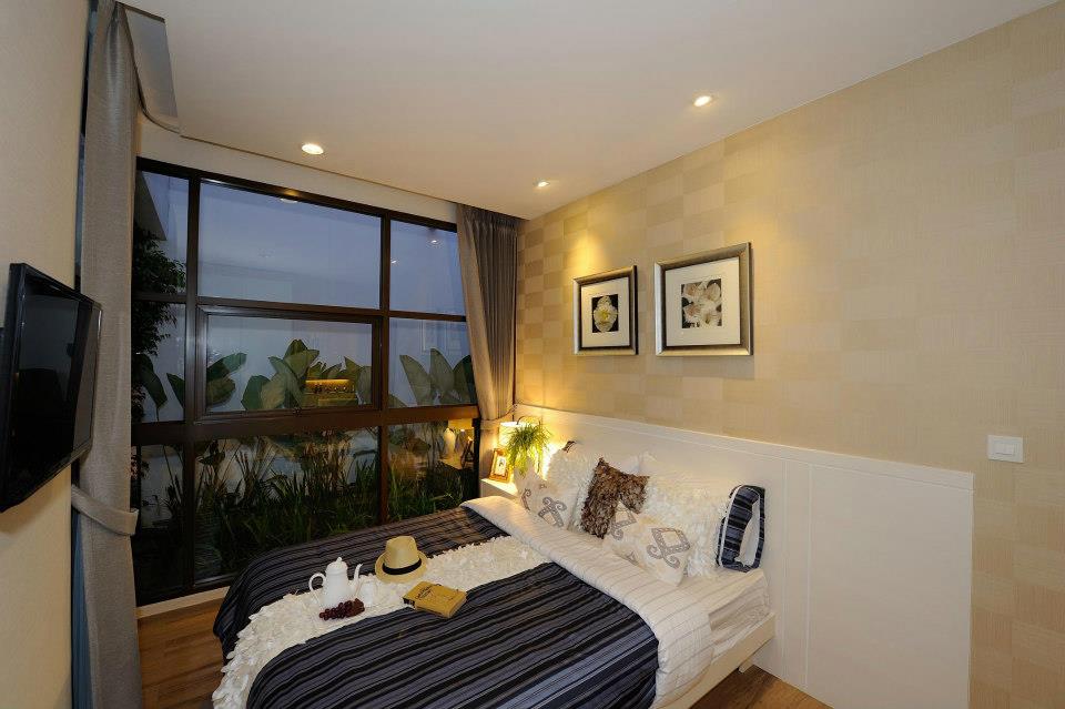 รูปภาพ ทรีท็อปส์  (Tree tops)