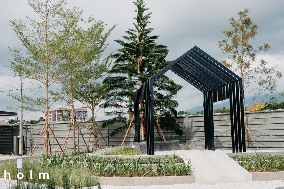 รูปภาพ โฮล์ม สันผีเสื้อ เชียงใหม่ (Holm)