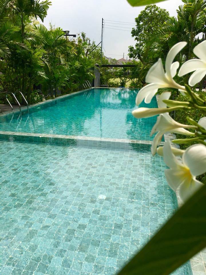 รูปภาพ ไฮท์ ลีฟวิ่ง โครงการ 6 (High Living No.6)