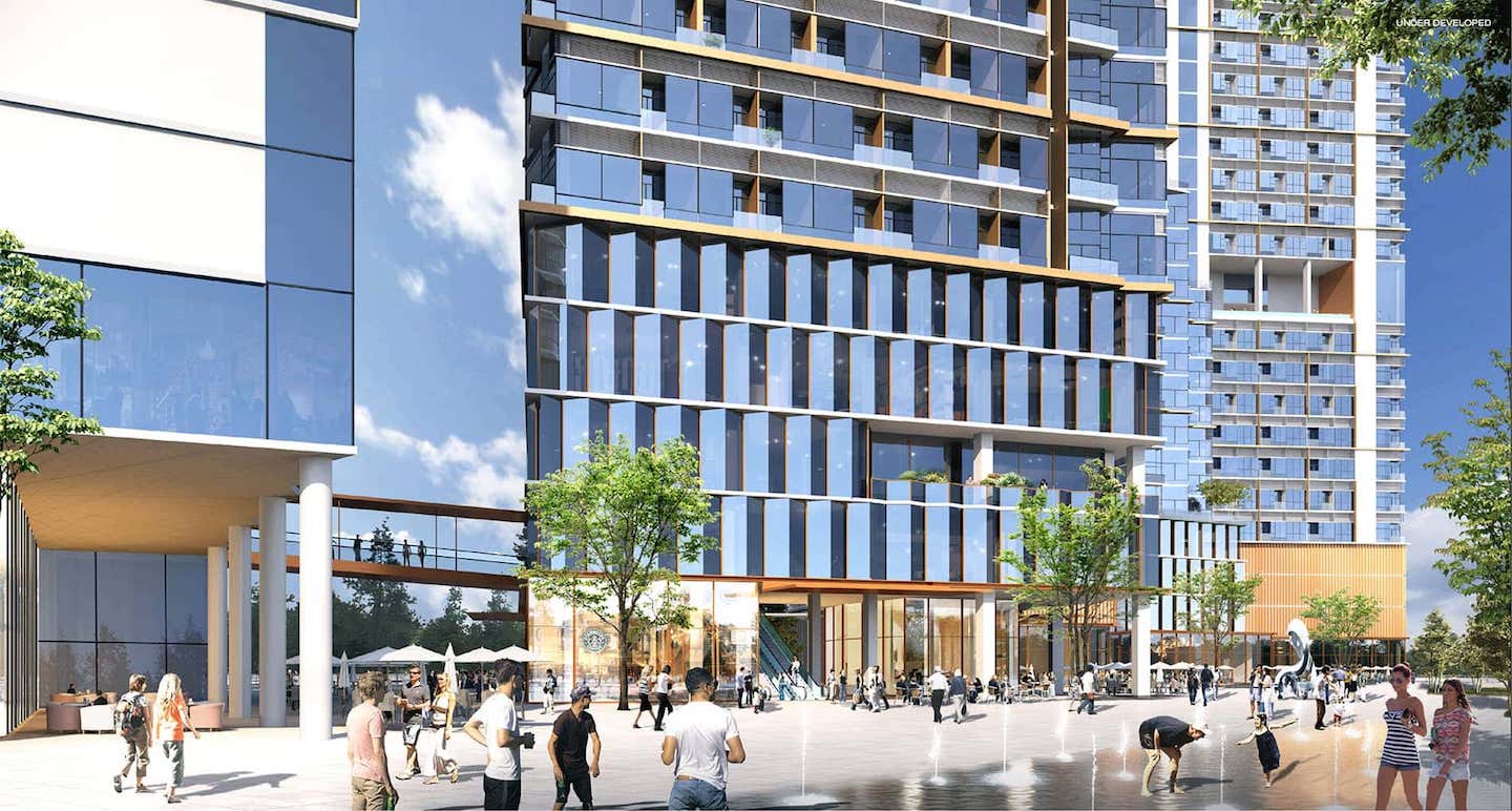 รูปภาพ ไซมิส พระราม 9 (Siamese Rama 9)