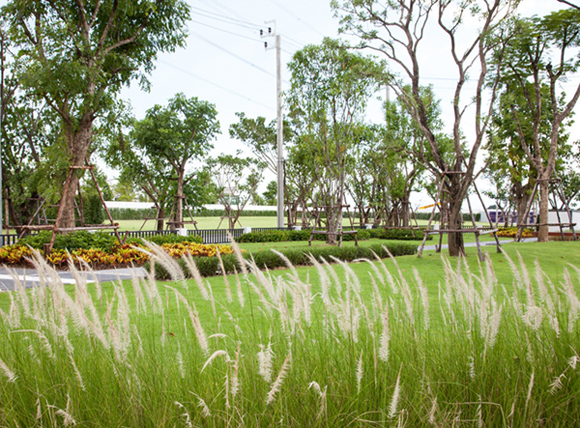 รูปภาพ ลัดดารมย์ บางนา (Laddarom Bangna)