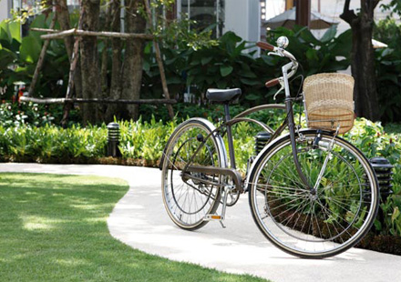 รูปภาพ พลีโน่ สุขสวัสดิ์ 30 (Pleno)