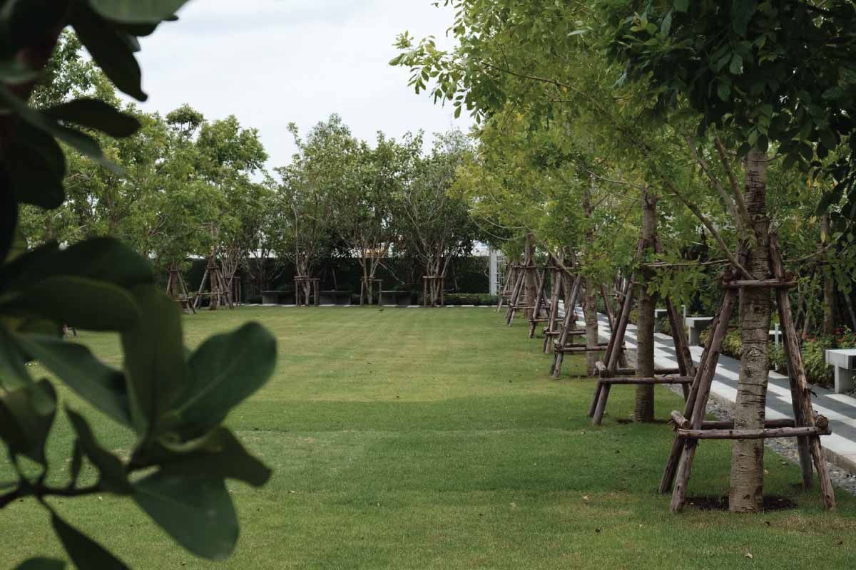 รูปภาพ ชวนชื่น ทาวน์ ราชพฤกษ์ - 345 (Chuan Cheun Town Ratchapruek - 345)