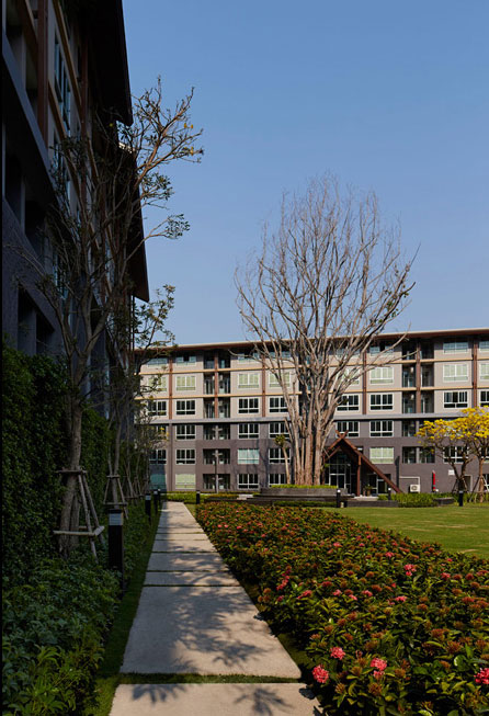 รูปภาพ ดีคอนโด แคมปัส รีสอร์ท เชียงใหม่ (dcondo Campus Resort Chiangmai)