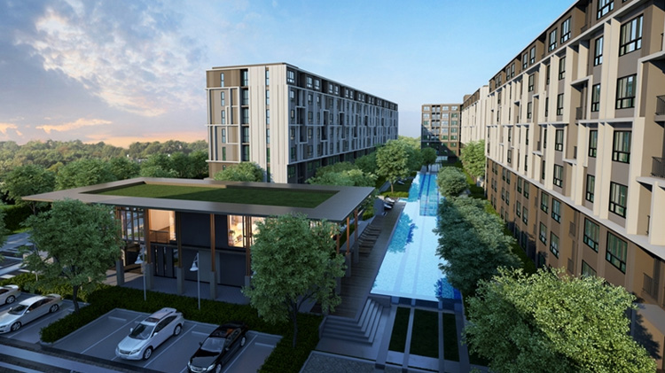 รูปภาพ ดีคอนโด กาญจนวนิช (dcondo Kanchanavanich)