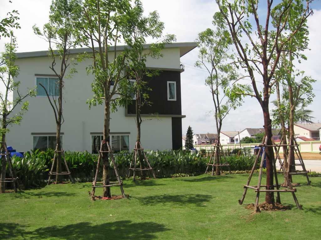 รูปภาพ บ้านราชพฤกษ์ ประตูน้ำพระอินทร์ เฟส 2 (Baan Ratchapruek Pratunam Pra-inn Phase 2)