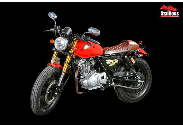 รูปภาพ สตาเลียน Stallions Centaur 250 Max ปี 2016