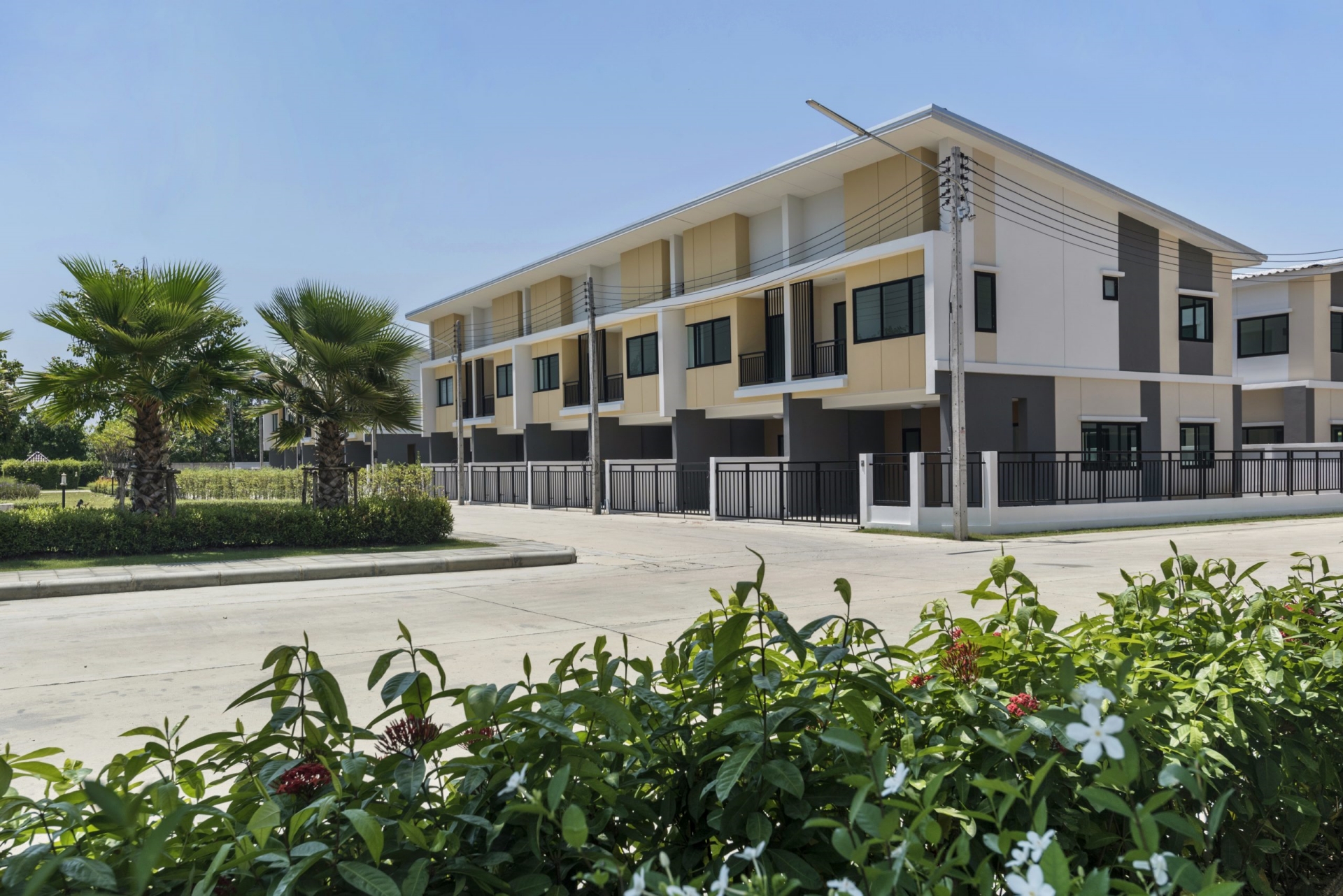 รูปภาพ พฤกษาพรรณ กระดีเดียว 3 (Pauksa Phan Kradi Diao 3)