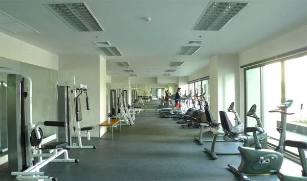 รูปภาพ โนเบิล โซโล (Noble Solo)