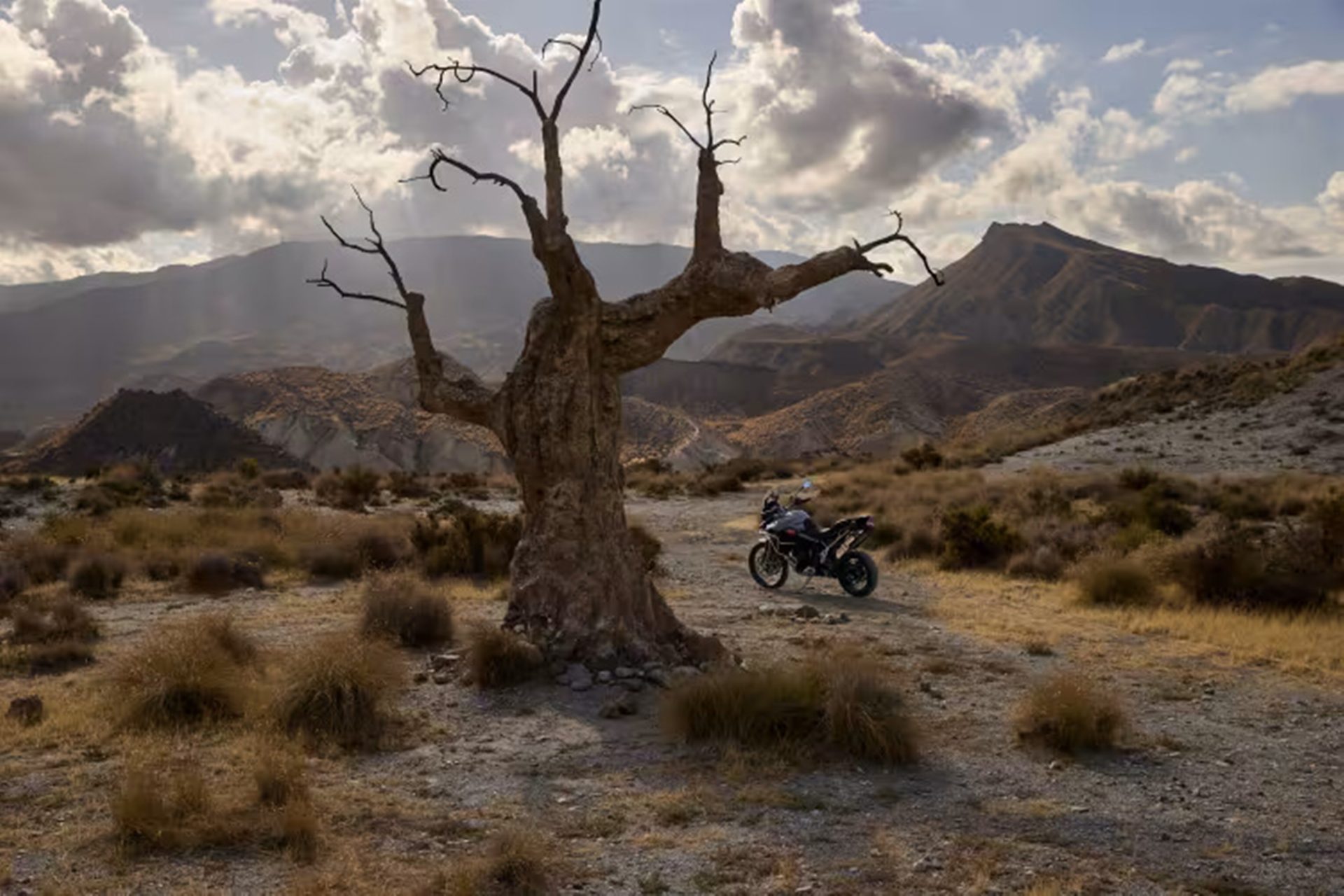 รูปภาพ ไทรอัมพ์ Triumph Tiger 900 Desert Edition ปี 2025