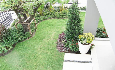 รูปภาพ ชัยพฤกษ์ รัตนาธิเบศร์-วงแหวน (Chaiyapruk Rattanathibet-Wongwaen)