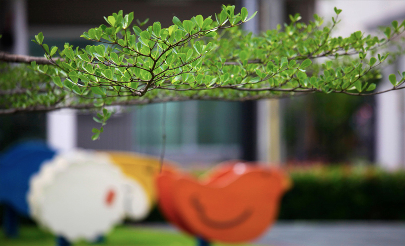 รูปภาพ อินดี้ บางนา (Indy Bangna)