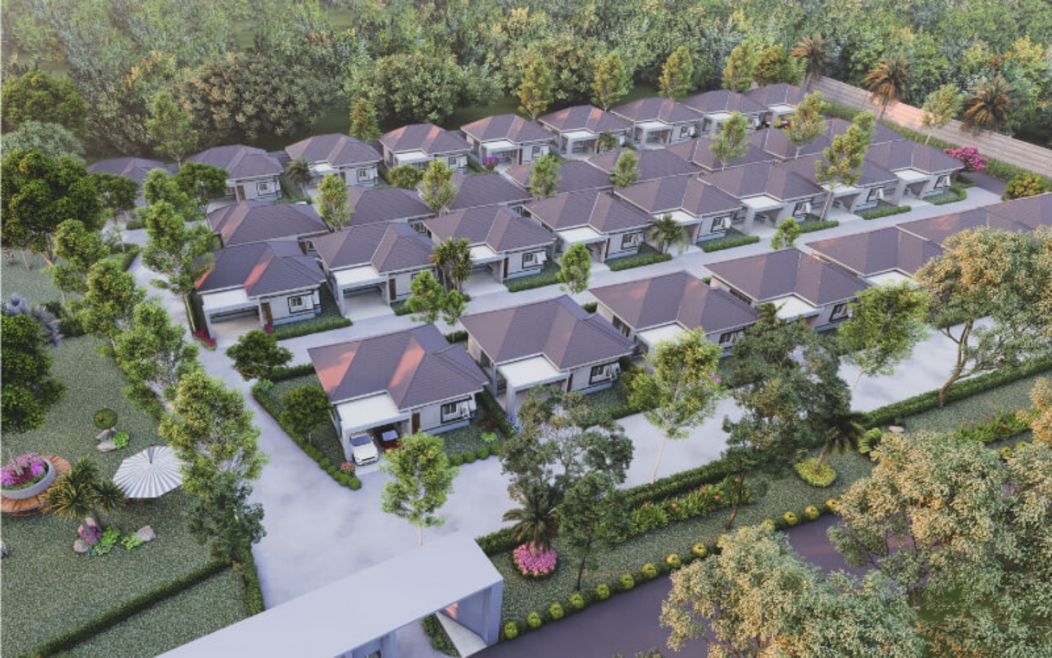 รูปภาพ เกล้าลฎา 4 นางรอง-ลำปลายมาศ (Khaolada 4 Nang Rong-Lam Plai Mat)