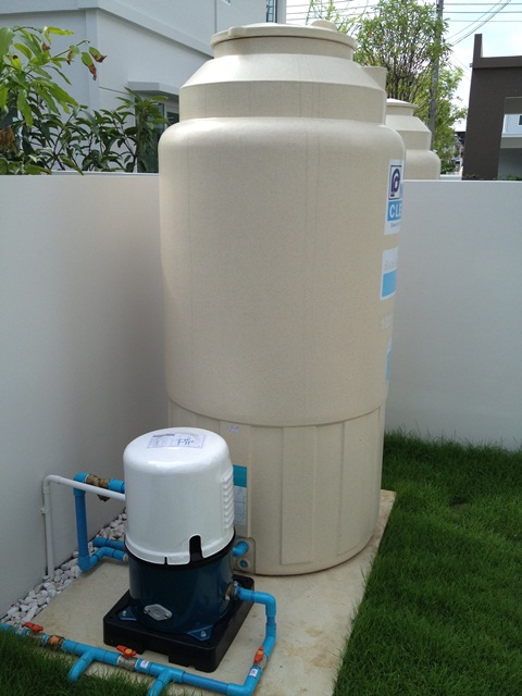 รูปภาพ ชัยพฤกษ์ ปิ่นเกล้า - สาย 2 (Chaiyapruk Pinklao - Sai 2)