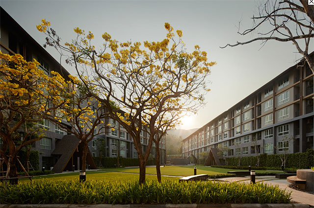 รูปภาพ ดีคอนโด แคมปัส รีสอร์ท เชียงใหม่ (dcondo Campus Resort Chiangmai)