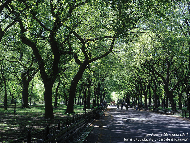 รูปภาพ ไลฟ์ บางกอก บูเลอวาร์ด แจ้งวัฒนะ (Life Bangkok Boulevard Chaeng Watthana)