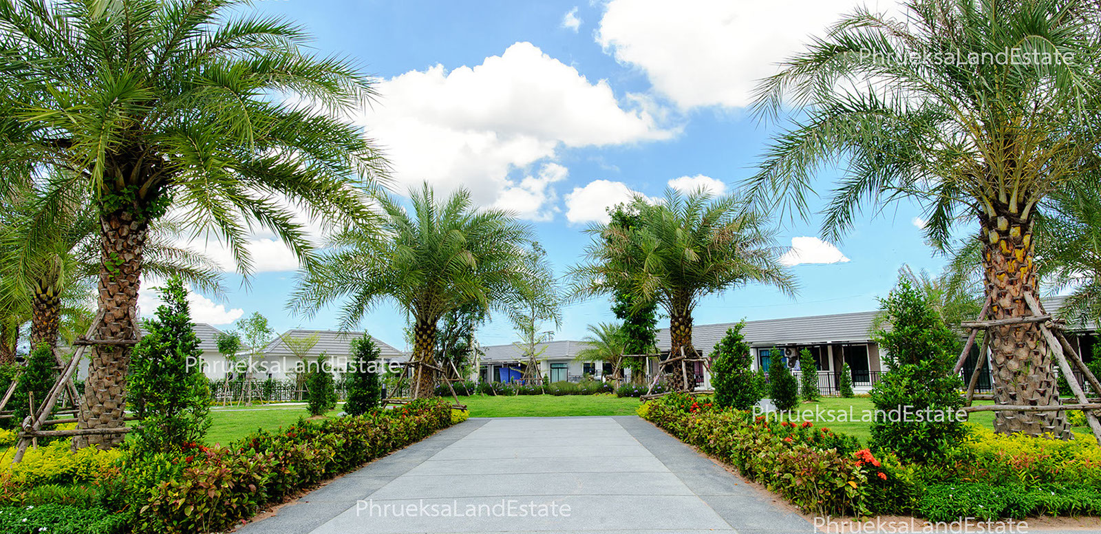 รูปภาพ เดอะ เซ็นทรัล ทาวน์  บึง - ศรีราชา (The Central Town Bueng - Sriracha)