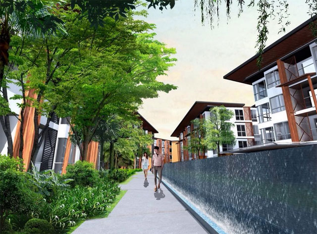 รูปภาพ พาคาทัส (Pacatas)