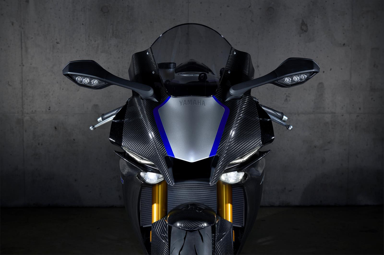 รูปภาพ ยามาฮ่า Yamaha YZF R1M ปี 2022