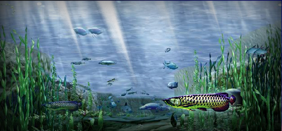 รูปภาพ สกายวอล์ค คอนโดมิเนียม (Sky Walk Condominium)