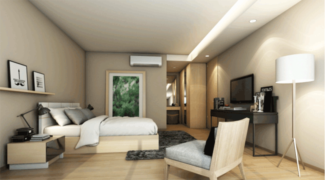 รูปภาพ ไซมิส นางลิ้นจี่ (Siamese Nang Linchee)