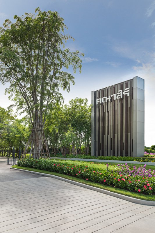 รูปภาพ คณาสิริ ชัยพฤกษ์ - วงแหวน (Kanasiri Chaiyapruek - Wongwaen)