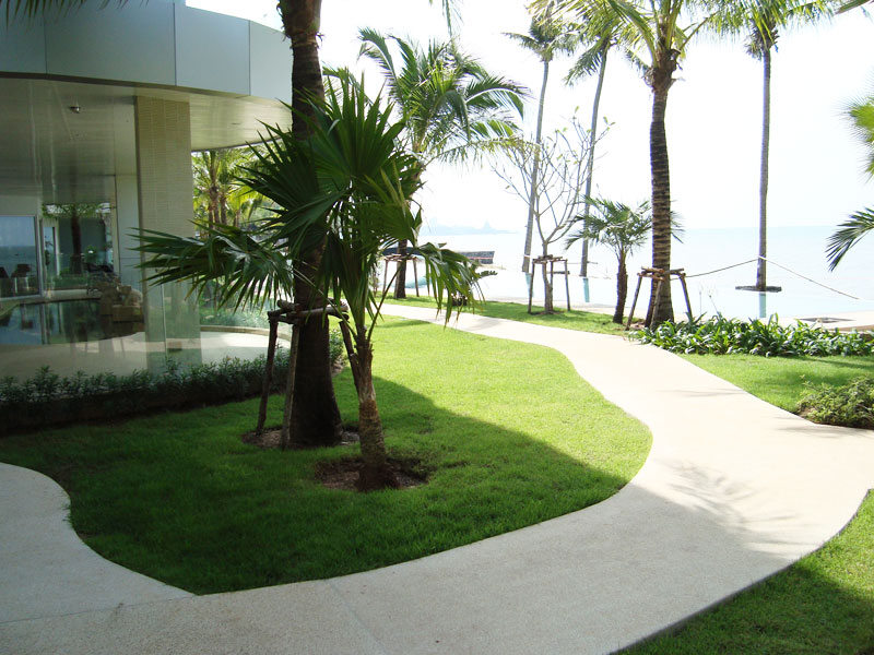 รูปภาพ โอเชียน เอจ (Ocean's Edge)