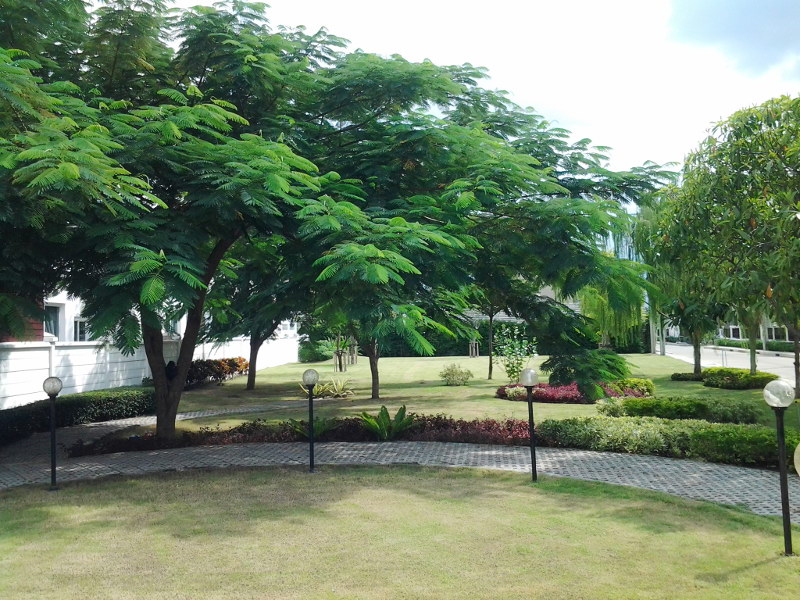 รูปภาพ สุชารี ดอนเมือง แจ้งวัฒนะ สรงประภา