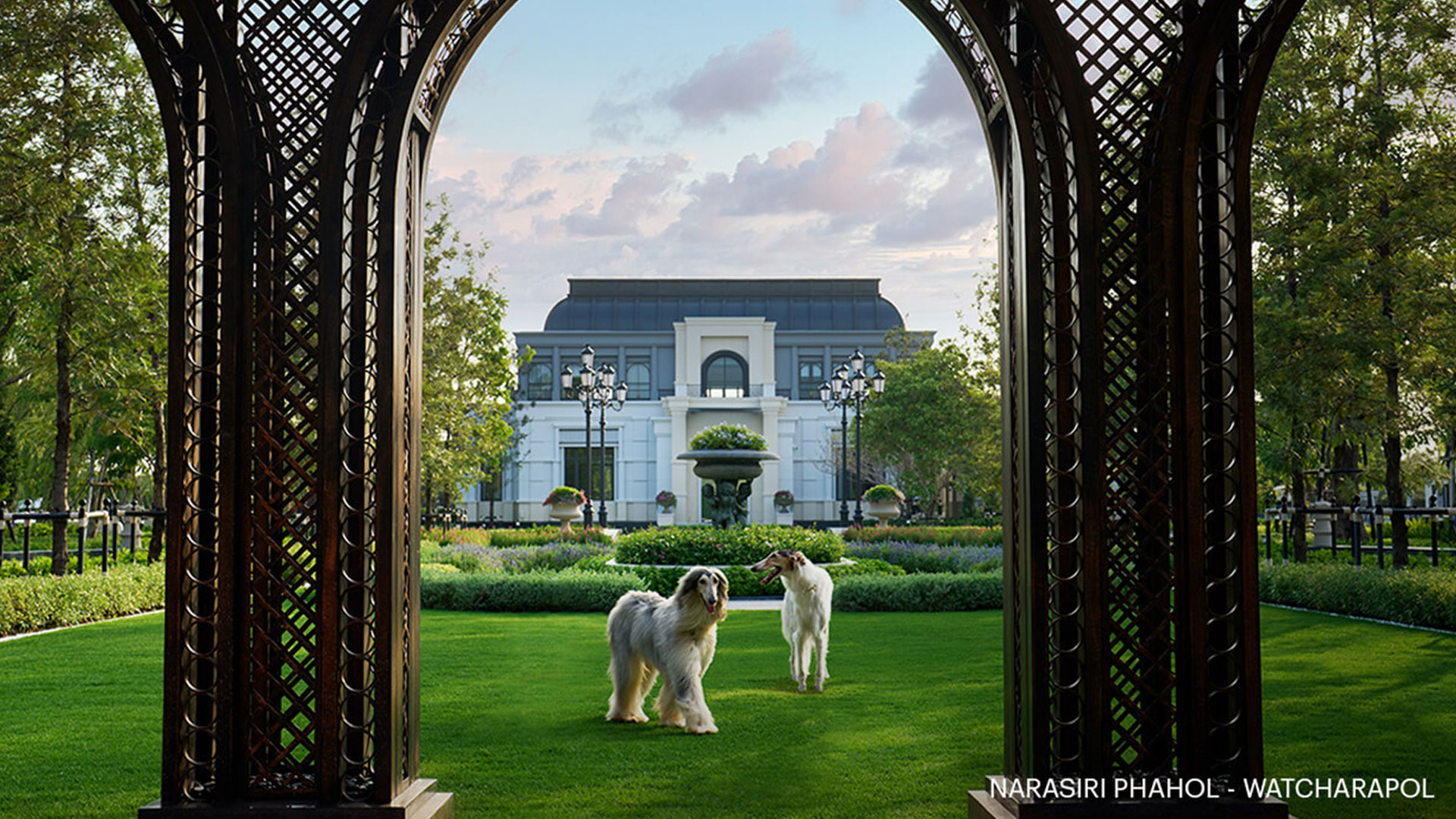 รูปภาพ นาราสิริ พหล - วัชรพล (Narasiri Phahol - Watcharapol)