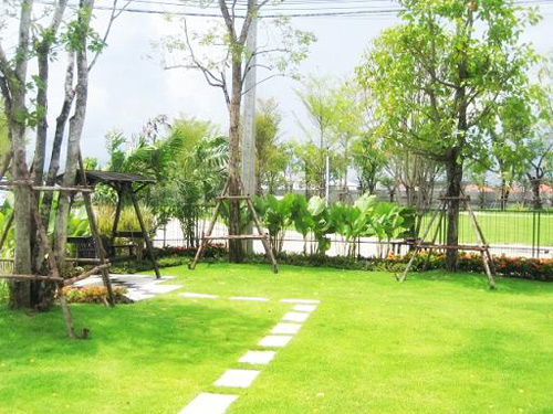 รูปภาพ ชัยพฤกษ์ รัตนาธิเบศร์-วงแหวน (Chaiyapruk Rattanathibet-Wongwaen)