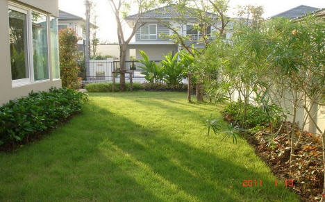 รูปภาพ ชัยพฤกษ์ วัชรพล (Chaiyapruk Watcharapol)