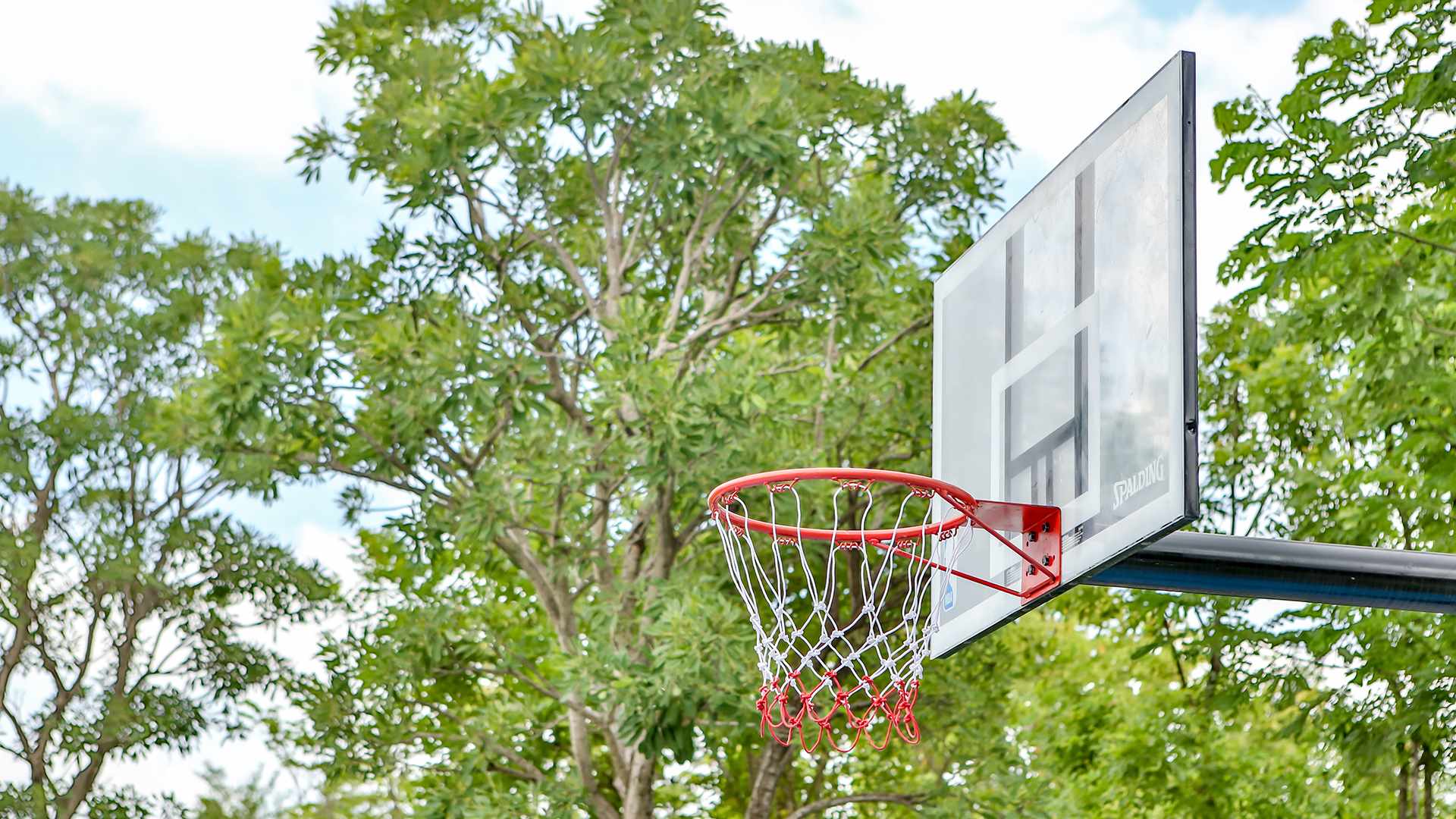 รูปภาพ มัณฑนา พรานนก สาย2 - บางแวก (Mantana Phran Nok Sai 2 - Bangwag)