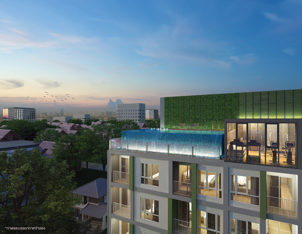 รูปภาพ แอชเชอร์ พรีเว่ สุทธิสาร (Asher Prive Sutthisan)