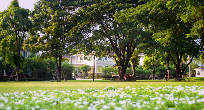 รูปภาพ พฤกษ์ลดา บางนา (Pruklada Bangna)