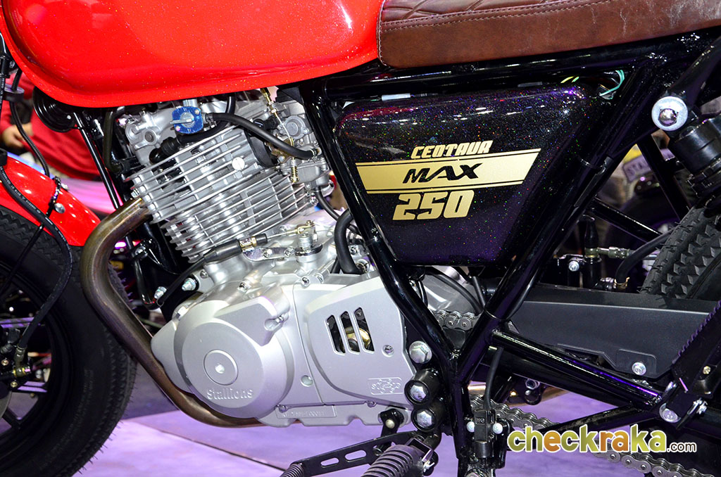 รูปภาพ สตาเลียน Stallions Centaur 250 Max ปี 2016