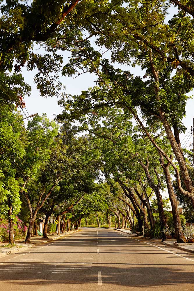 รูปภาพ นวธานี เรสซิเดนซ์ (Navatanee Residence)