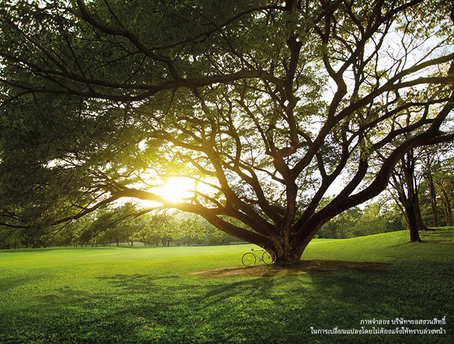 รูปภาพ เซ็นทริค อารีย์ สเตชั่น (Centric Ari Station)
