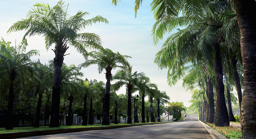 รูปภาพ นันทวัน ศรีนครินทร์ (Nanthawan Srinakarin)