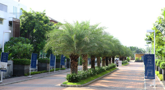 รูปภาพ เดอะ สตาร์ เอสเตท พัฒนาการ 69 (The Star Estate)