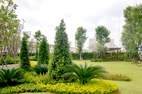 รูปภาพ ซีรีน พระราม 2-ท่าข้าม (Zerene Rama II)