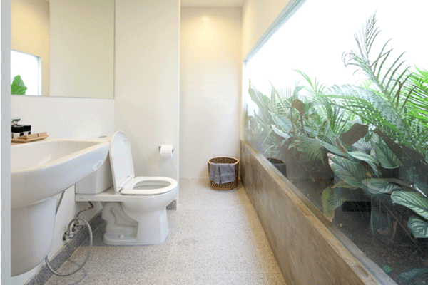 รูปภาพ คอร์ทยาร์ด วิลล่า (Courtyard Villa)