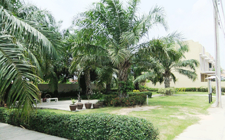 รูปภาพ บ้านร็อคการ์เด้น - แอร์พอร์ต เฟส 1 (Baan Rock Garden Airport Phase 1)