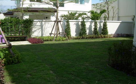 รูปภาพ มัณฑนา บางนา (Manthana Bangna)