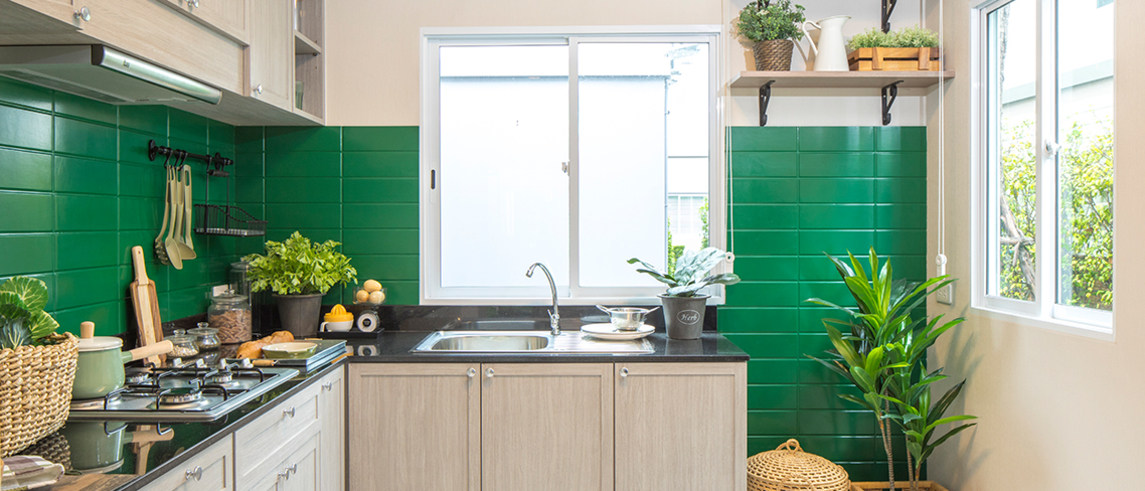 รูปภาพ เดอะ แพลนท์ ปากเกร็ด (The Plant Pakkred)